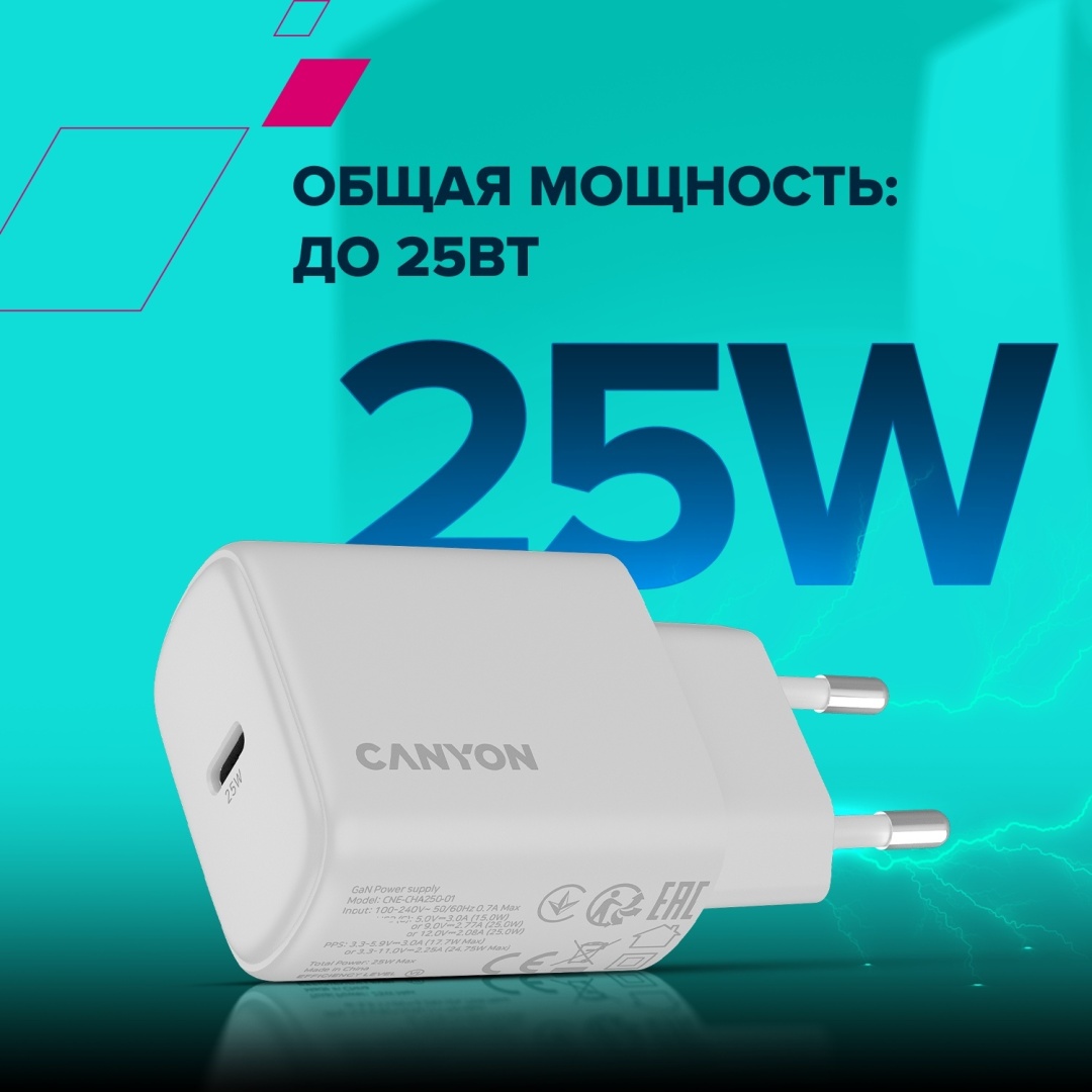 Зарядное устройство Canyon OnCharge 250 CNE-CHA250-01 USB Type-C 25 Вт белый