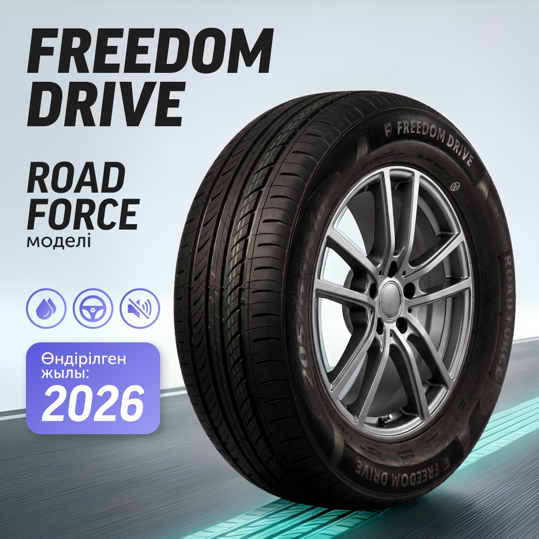 Freedom Drive Road Force 205/70 R15 96 T без шипов