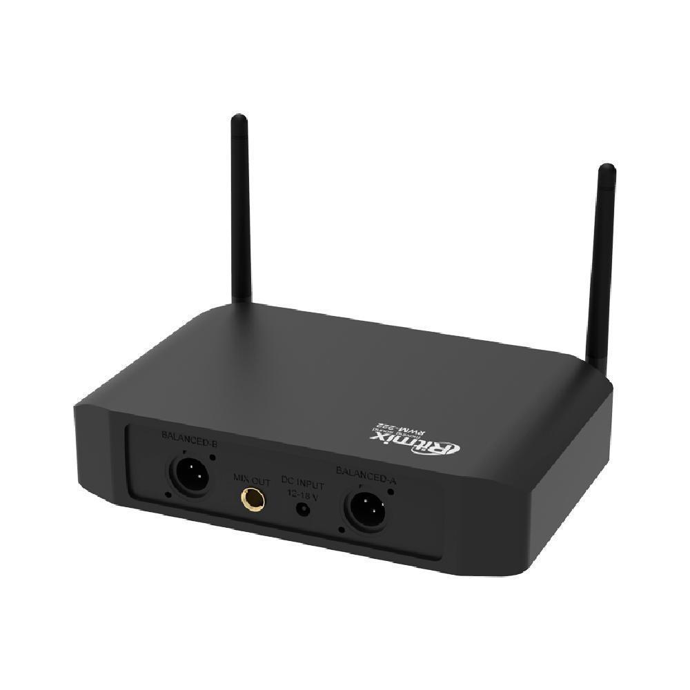 Набор микрофонов Ritmix RWM-222 черные