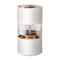 Увлажнитель воздуха SmartMi Humidifier Rainforest Белый CJJSQ06ZM