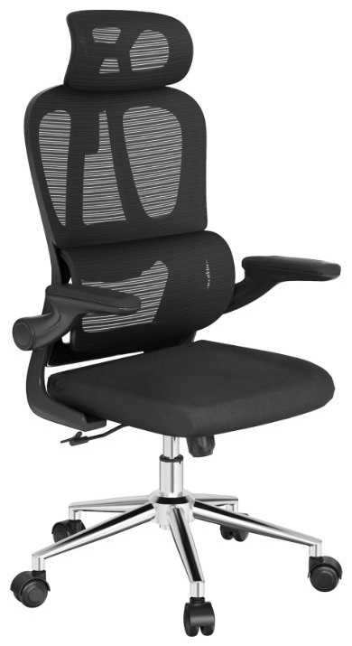 Офисное кресло FlexiSpot OC19B, черный