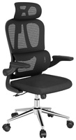 Офисное кресло FlexiSpot OC19B, черный