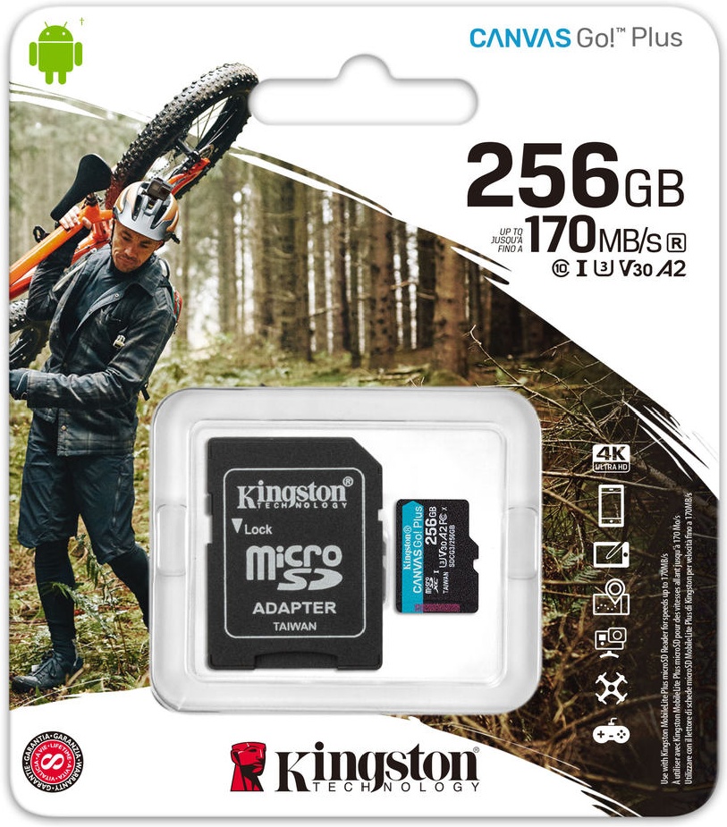 Карта памяти Kingston SDCG3 256Gb