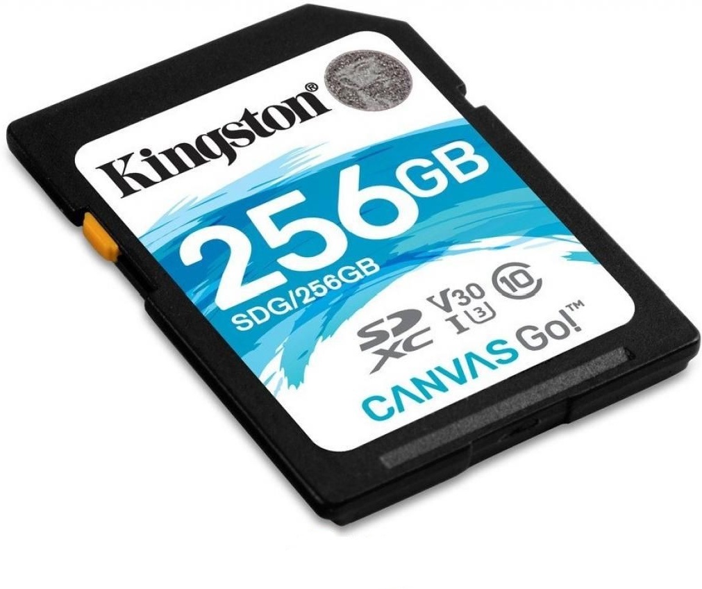 Карта памяти Kingston SDG3/256GB 256GB