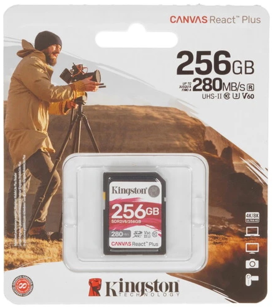 Карта памяти Kingston SDR2V6/256GB, 256 Гб