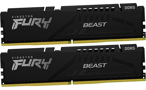 Оперативная память Kingston KF560C36BBEK2-64 64 Гб
