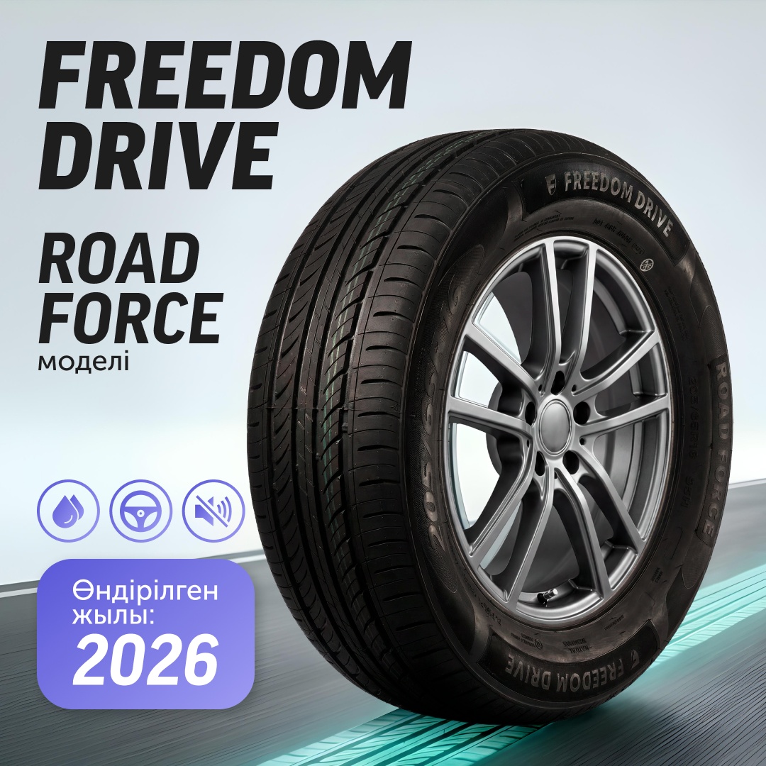 Freedom Drive Road Force 205/65 R16 95 H без шипов