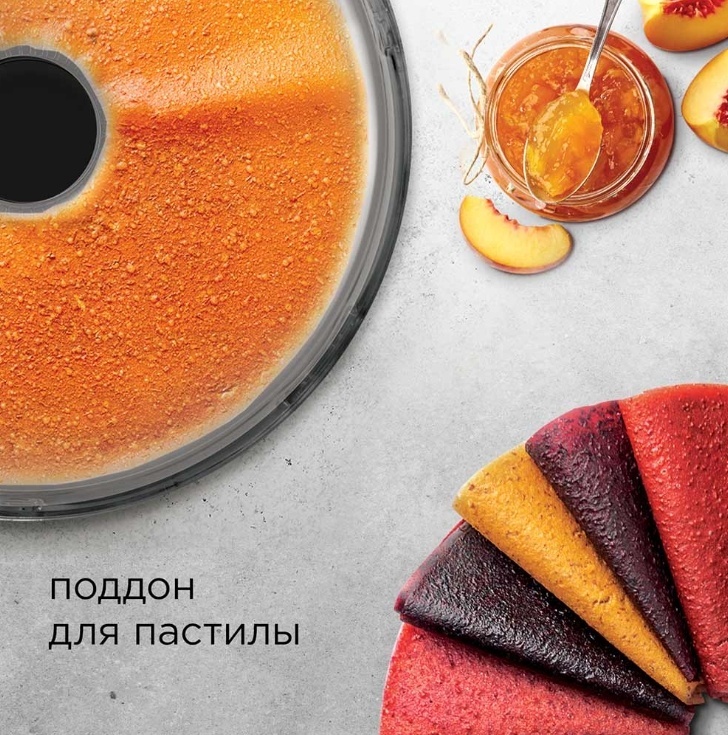 Электросушилка REDMOND FD1100 черный