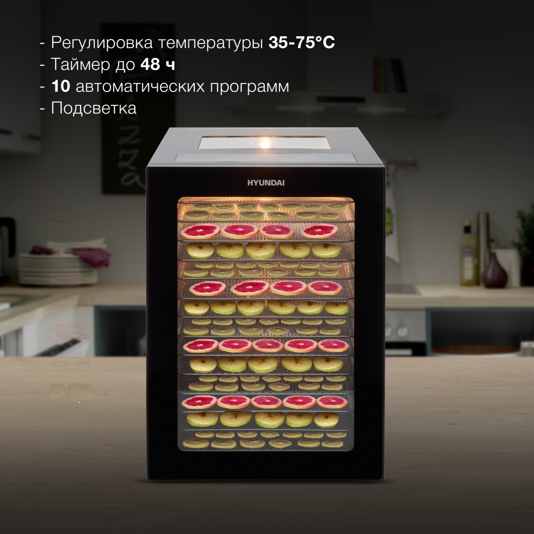 Электросушилка Hyundai HYFD-8803 черный