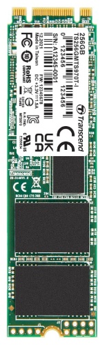 SSD Transcend TS256GMTS970TI-VS1 256 Гб