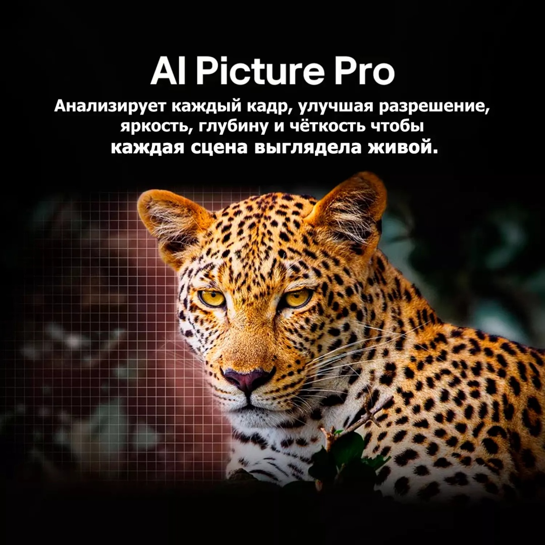 Телевизор LG OLED83C5RLA 211 см черный