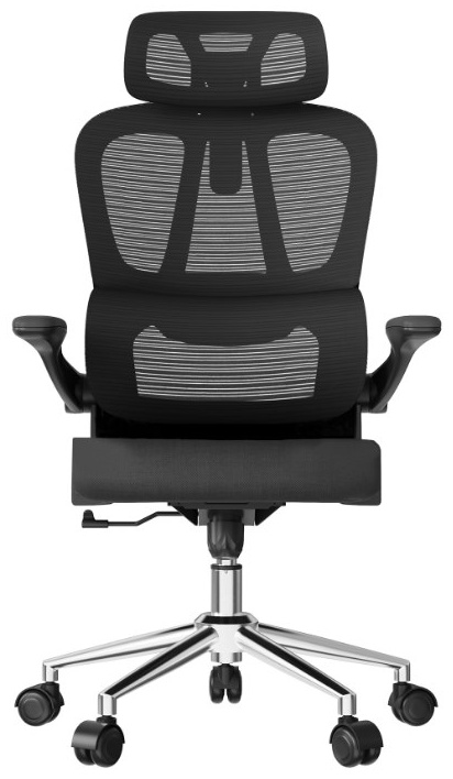 Офисное кресло FlexiSpot OC19B, черный