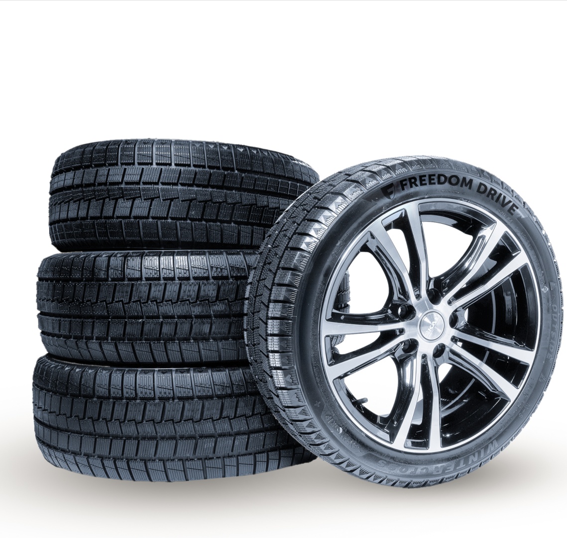 Freedom Drive Winter cross SG 215/70 R16 100 Q без шипов