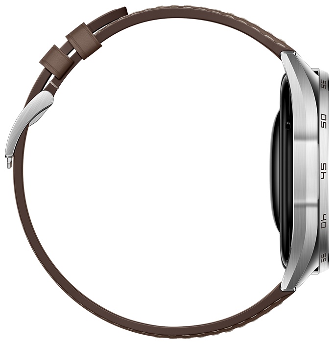 Смарт-часы Huawei WATCH GT 6 46 мм серебристый-коричневый