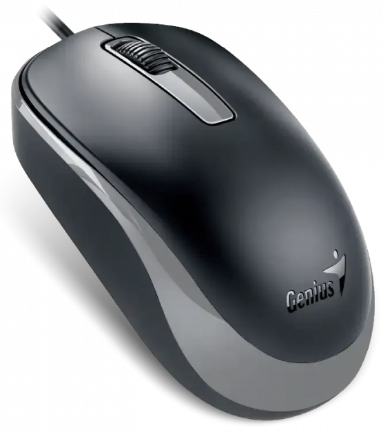 Мышь Genius DX-125S черный