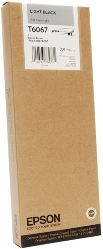 Картридж Epson C13T606700 серый