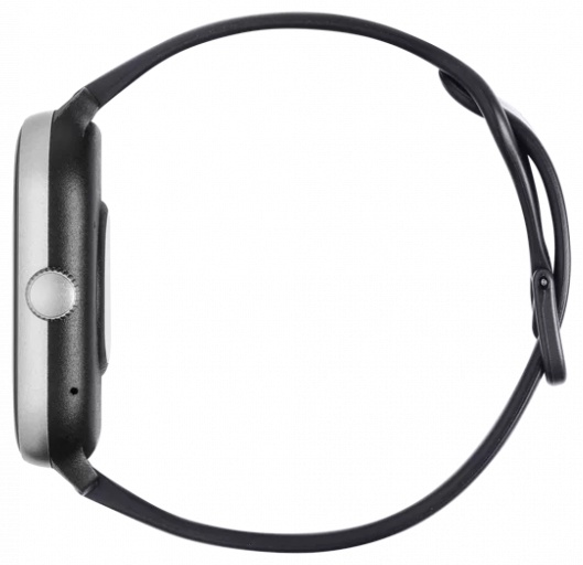 Смарт-часы TTEC Tempus Pro 2SW04 47 мм серебристый-черный