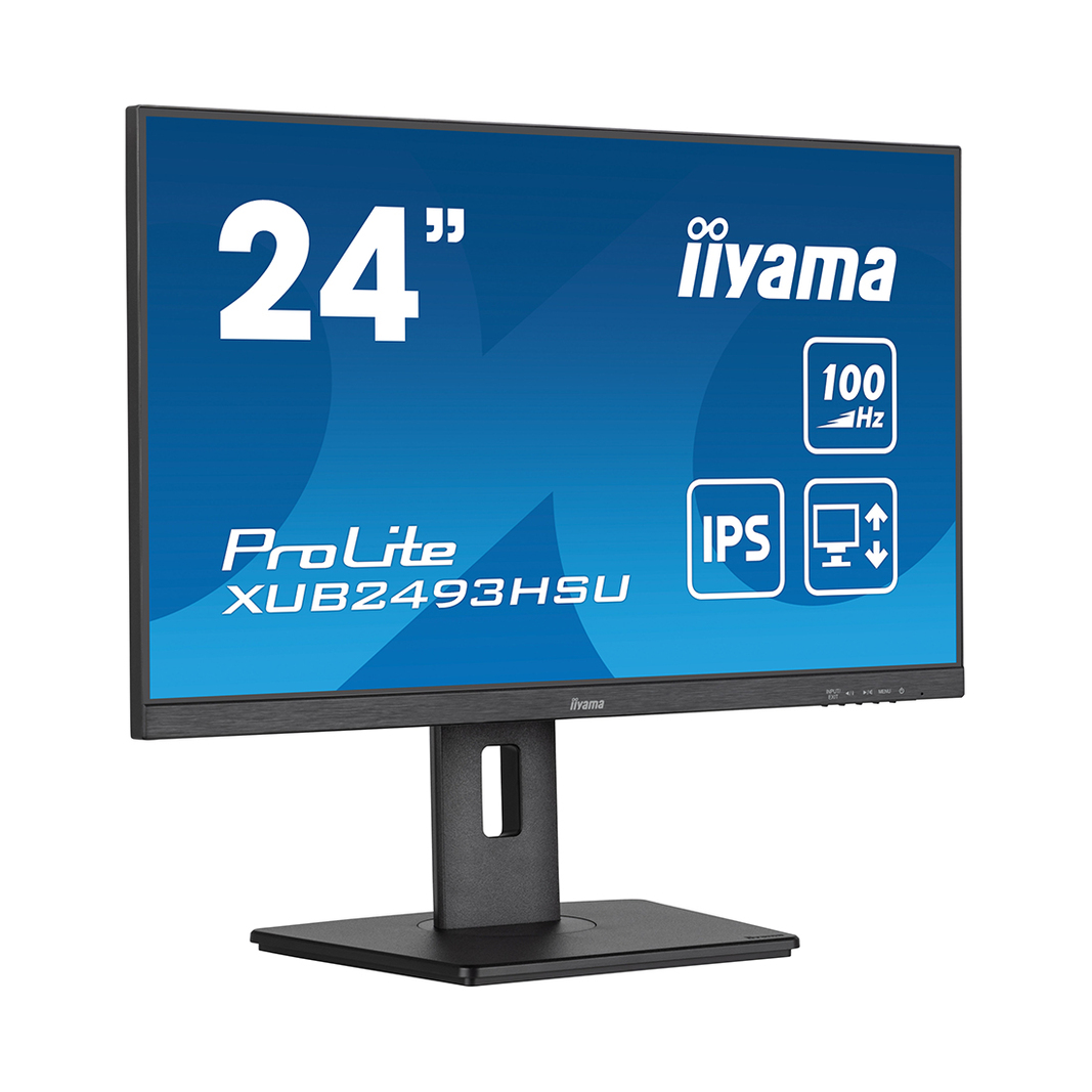 Монитор iiyama ProLite PL2493HS XUB2493HSU-B6 23,8\&quot;