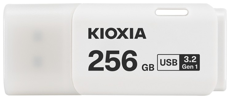 KIOXIA TransMemory U301 LU301W256GG4 256 Гб