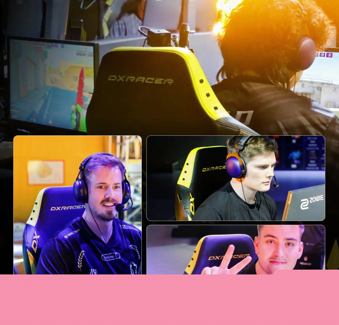 Игровое кресло DXRacer KOI GC/LDC23LTA, черный, коричневый