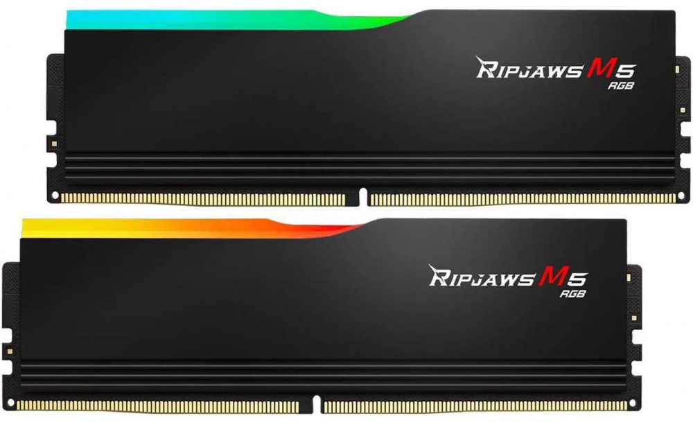 Оперативная память G.SKILL F5-5200J4040A24GX2-RM5RK 48 Гб