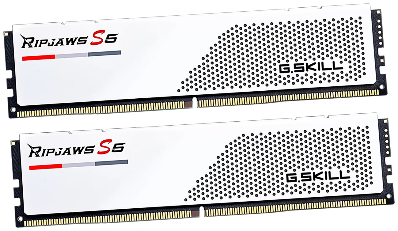 Оперативная память G.SKILL F5-5200J4040A24GX2-RS5W 48 Гб