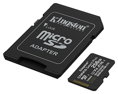 Карта памяти Kingston microSDXC SDCS3/256GB 256 Гб