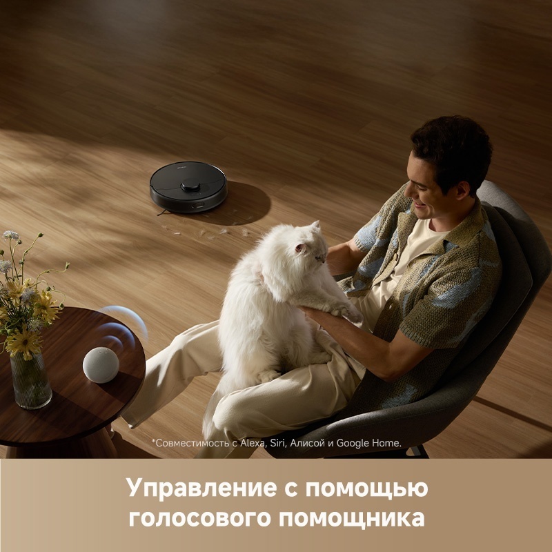 Робот-пылесос DREAME F10 RLF11SA черный