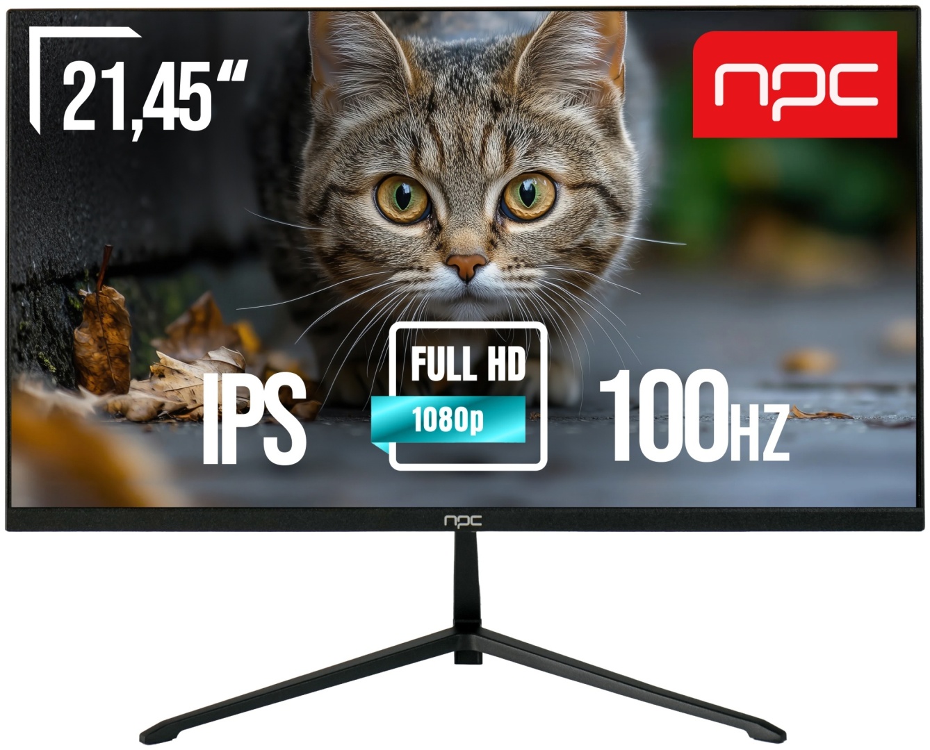 Монитор 21.45&amp;#34; NPC MF2219-V черный