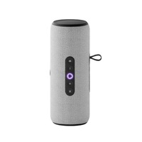 Умная колонка Яндекс Стрит, серая