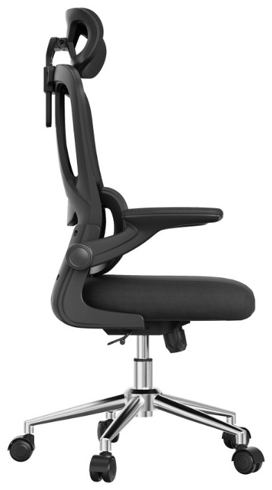 Офисное кресло FlexiSpot OC19B, черный