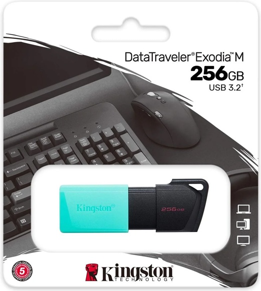 Kingston Kingston DTXM 3.2 256GB 256 Гб