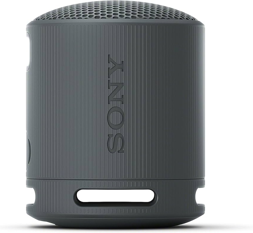 Sony SRS-XB100/BCE черный