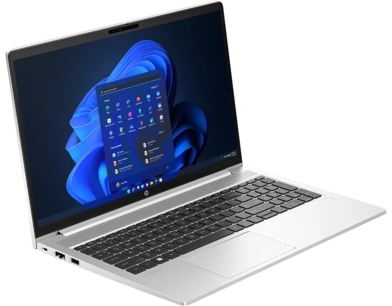 HP ProBook 450 G10 816C8EA серебристый