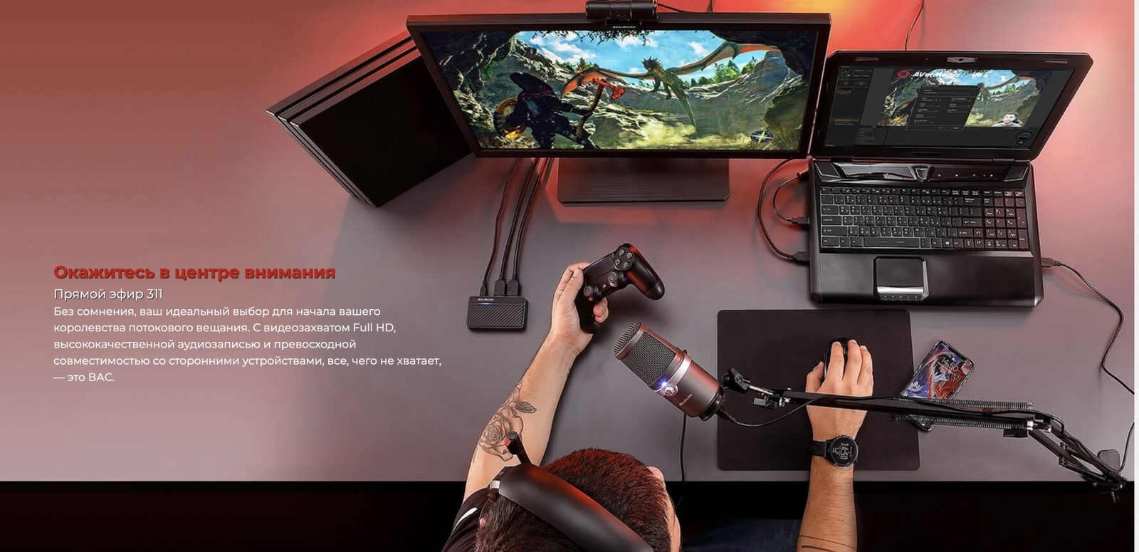 AverMedia BO311