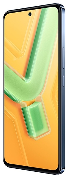 Смартфон Vivo Y100 8 ГБ/256 ГБ Crystal black