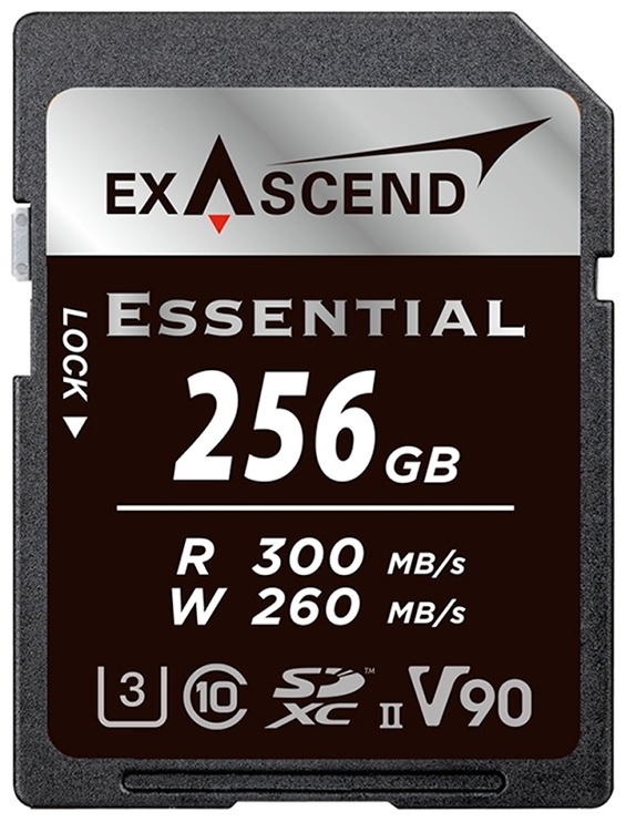 Exascend EX256GSDU2-S 256 Гб