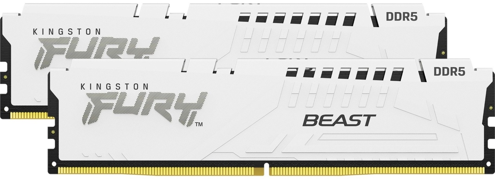 Kingston KF556C36BWEK2-64 64 Гб
