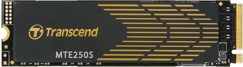 SSD Transcend TS1TMTE250S 1000 ГБ