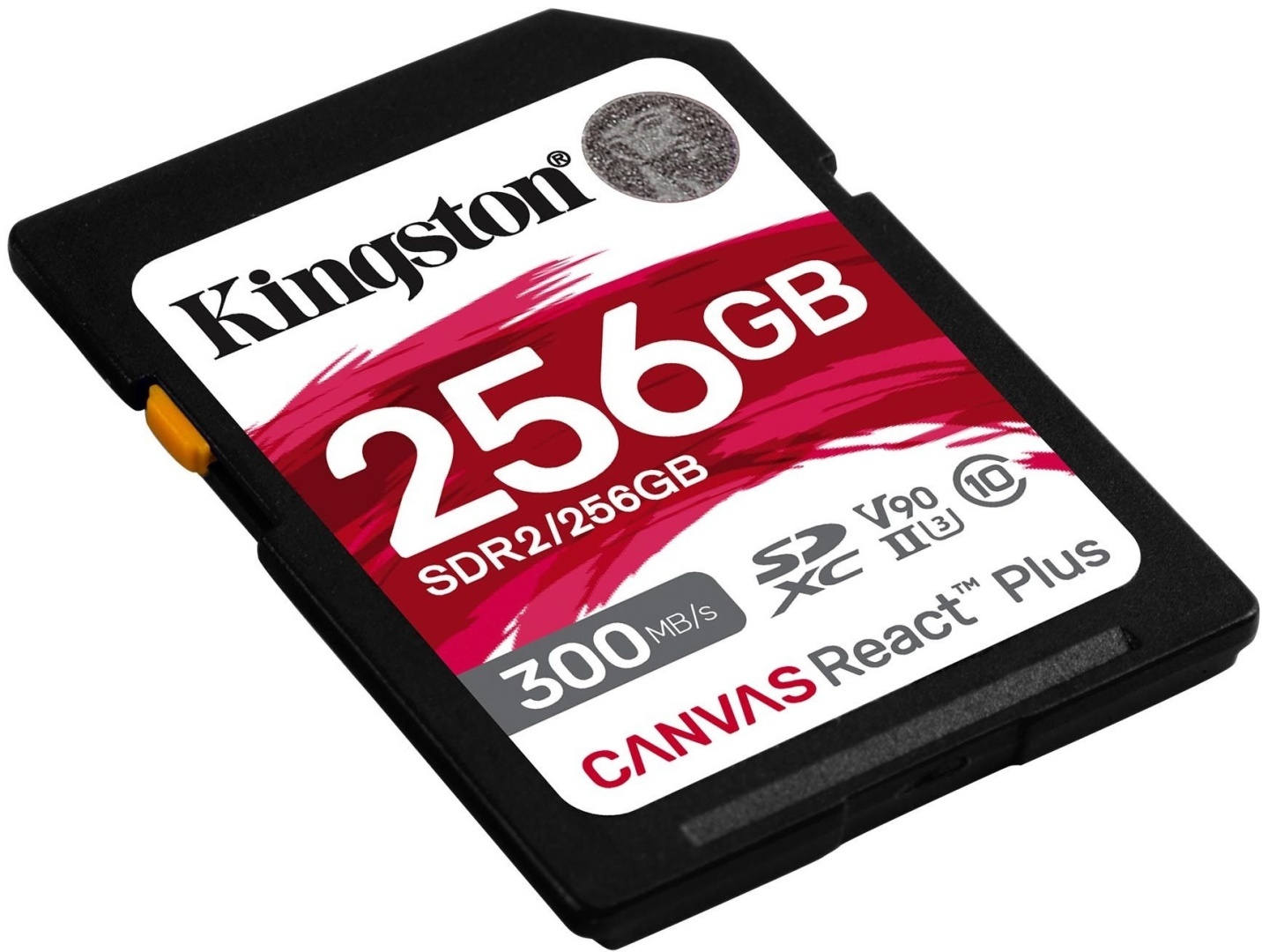 Kingston SDR2/256GB 256 Гб