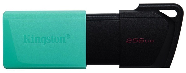 Kingston Kingston DTXM 3.2 256GB 256 Гб