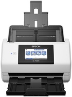 Epson WorkForce DS-790WN белый, серый