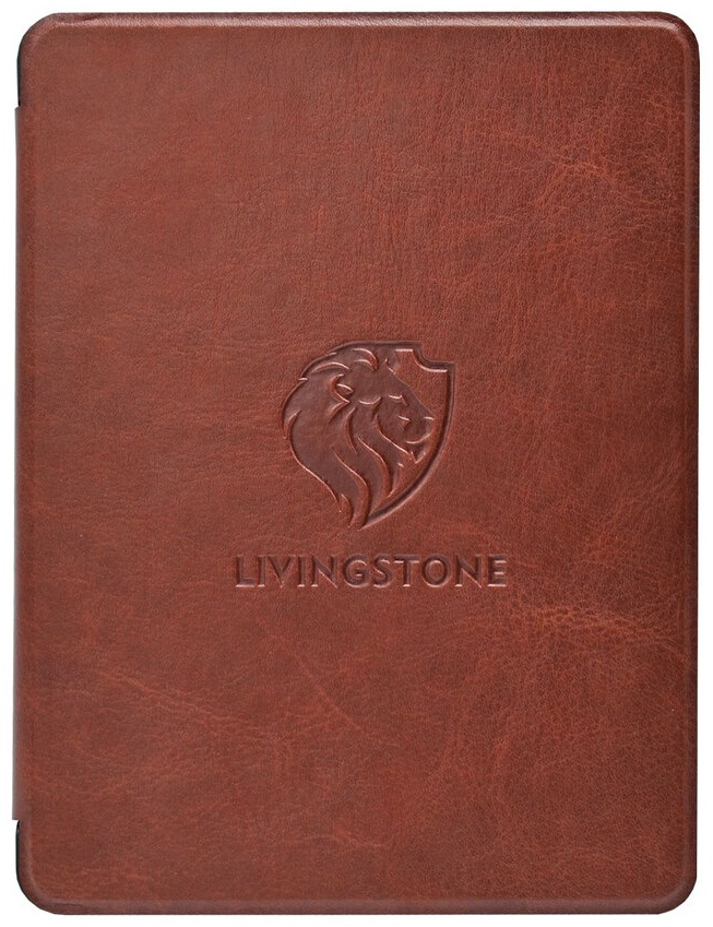 ONYX BOOX Livingstone 3 черный