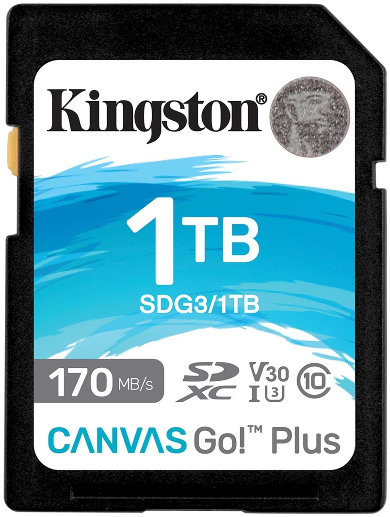 Kingston SDG3/1TB 1024 Гб