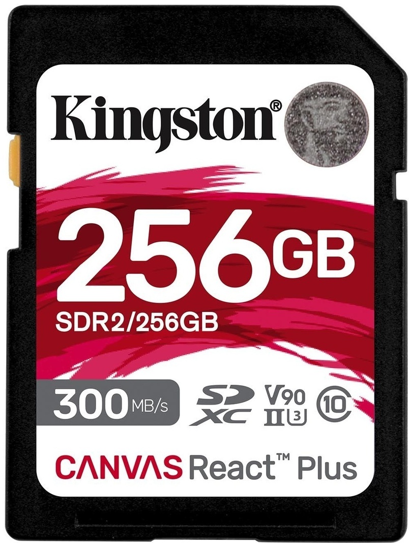 Kingston SDR2/256GB 256 Гб