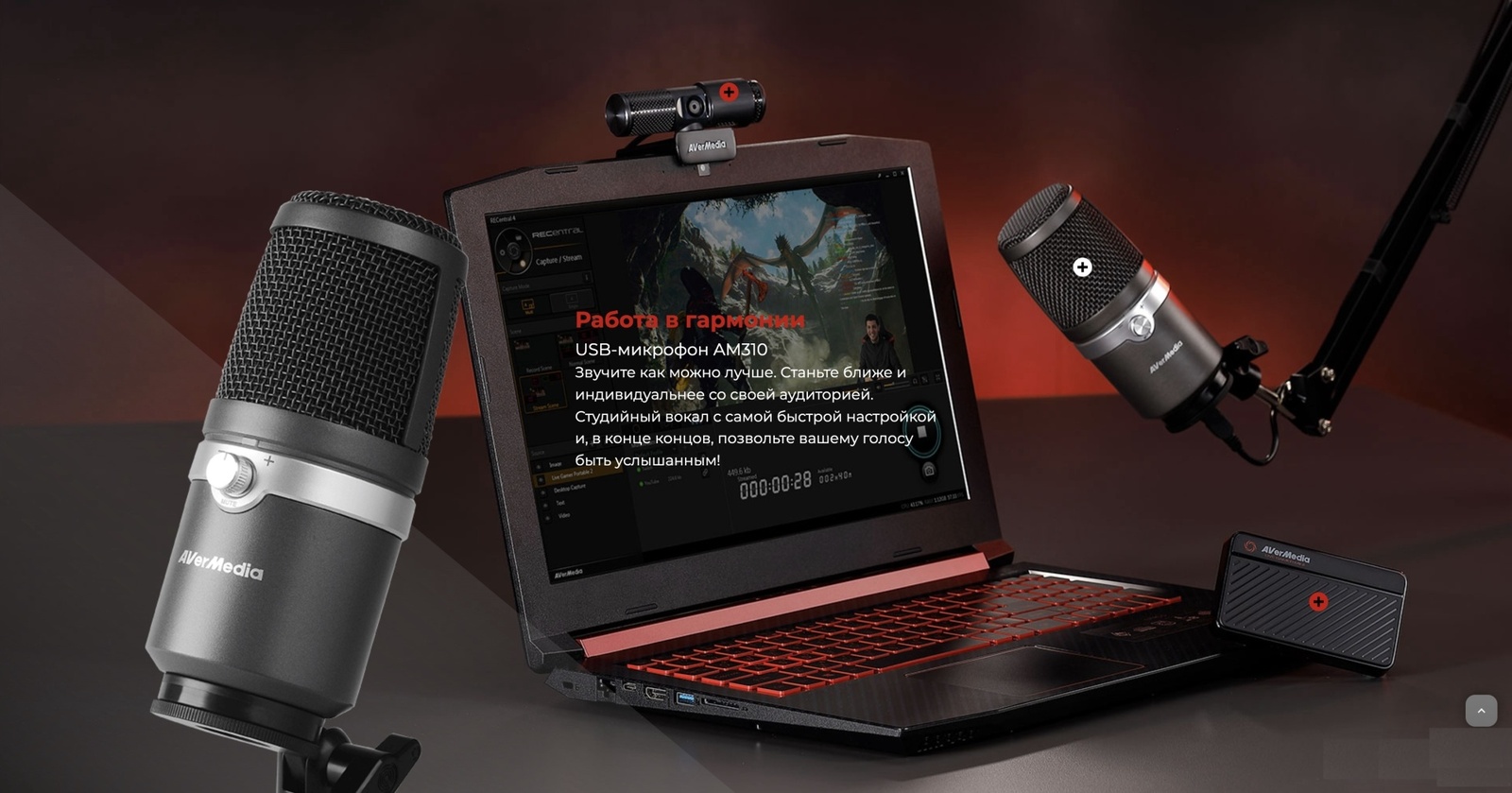 AverMedia BO311