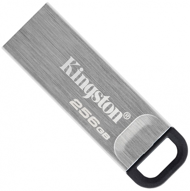 Kingston DTKN/256GB 256 Гб