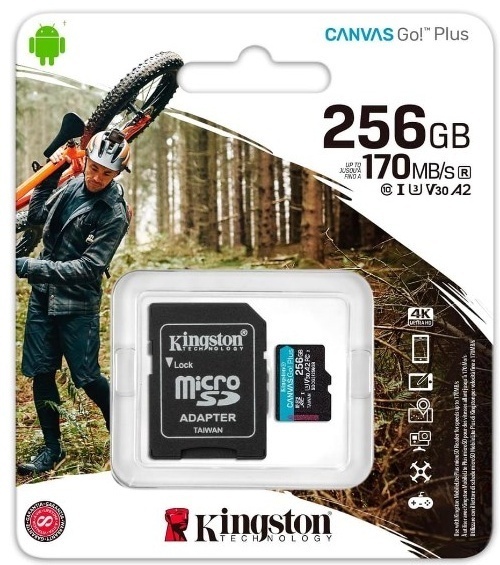 Kingston SDCG3/256GB 256 Гб