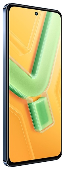 Смартфон Vivo Y100 8 ГБ/256 ГБ Crystal black