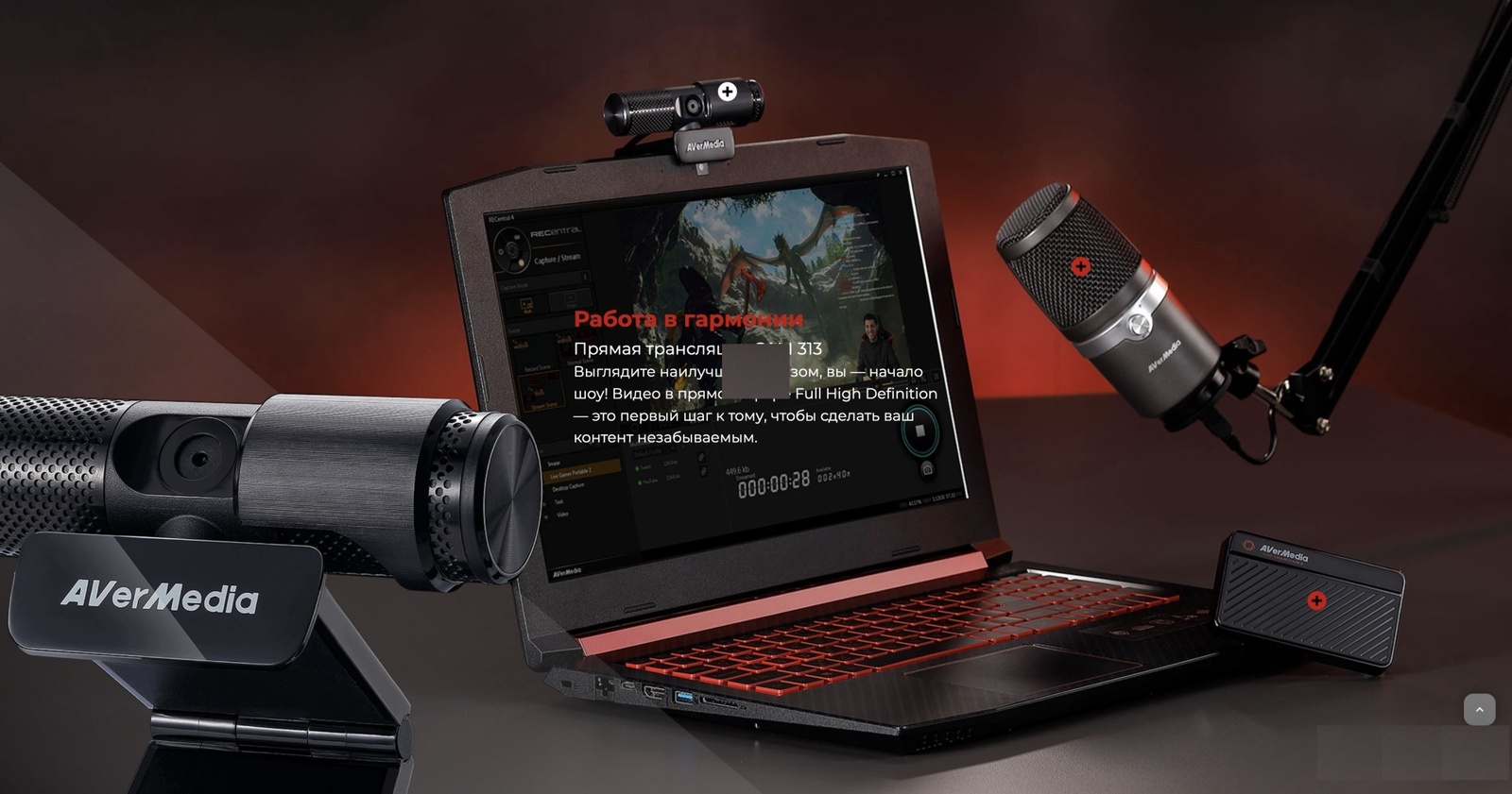 AverMedia BO311